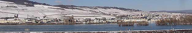  Silvesterwanderung als Glhweinwanderung mit Fackel durch die Rdesheimer Weinberge mit Blick ins Rheintal.